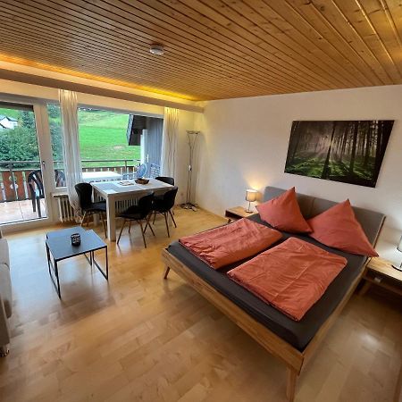 Haus Am Sonnenberg, Todtnauberg, Ferienwohnung 204, Direkt Am Skilift-Skipiste, Naehe Feldberg Eksteriør bilde