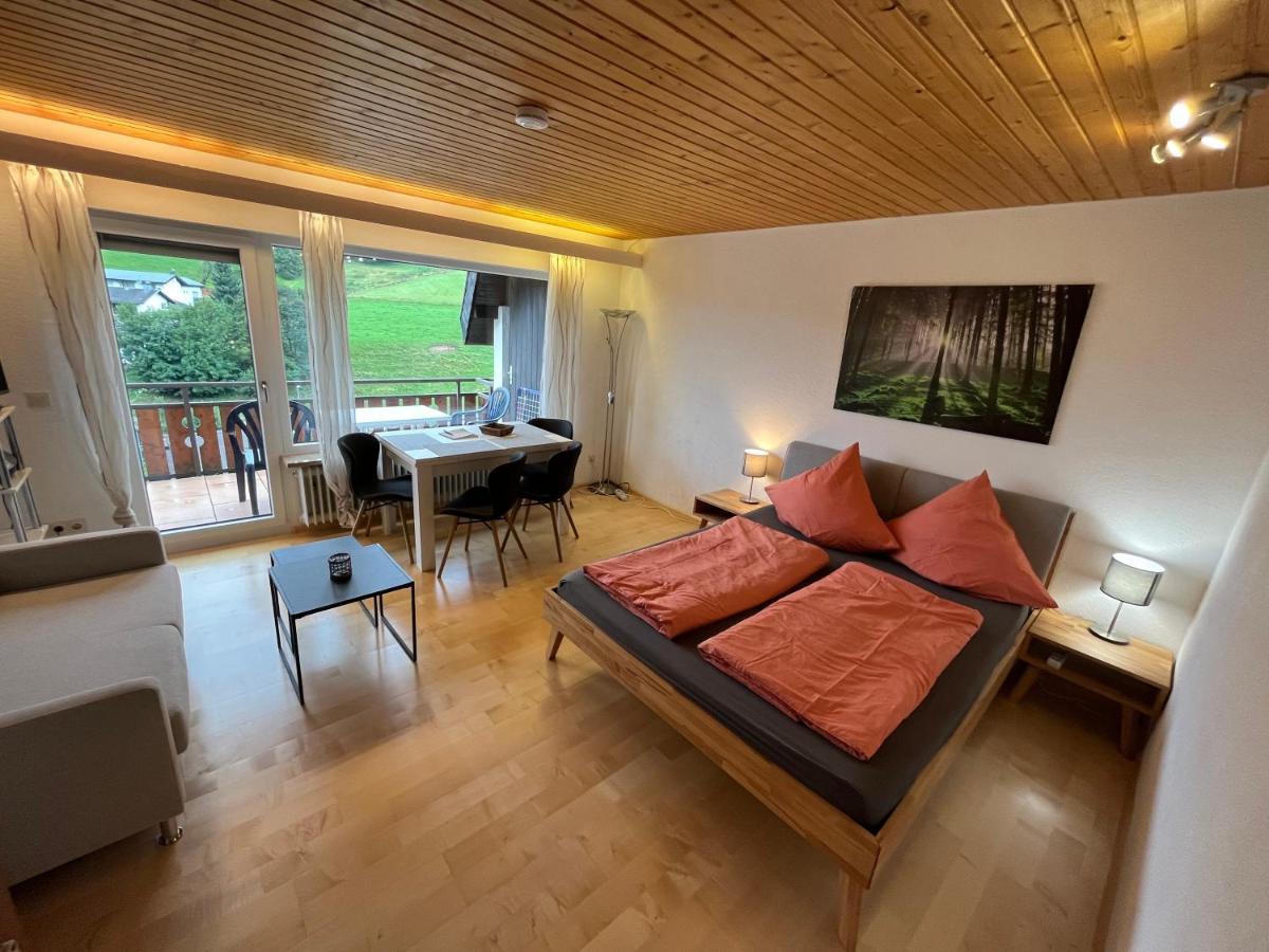 Haus Am Sonnenberg, Todtnauberg, Ferienwohnung 204, Direkt Am Skilift-Skipiste, Naehe Feldberg Eksteriør bilde
