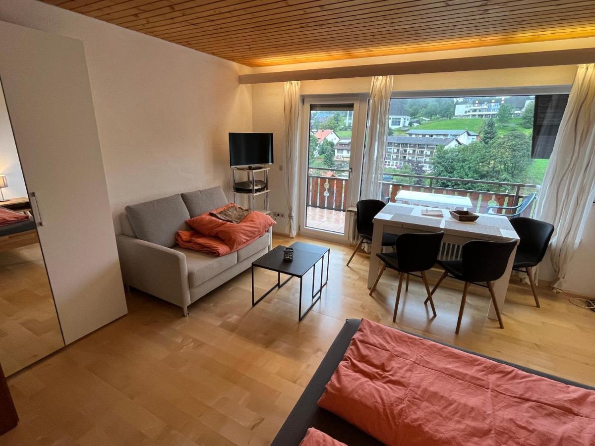 Haus Am Sonnenberg, Todtnauberg, Ferienwohnung 204, Direkt Am Skilift-Skipiste, Naehe Feldberg Eksteriør bilde