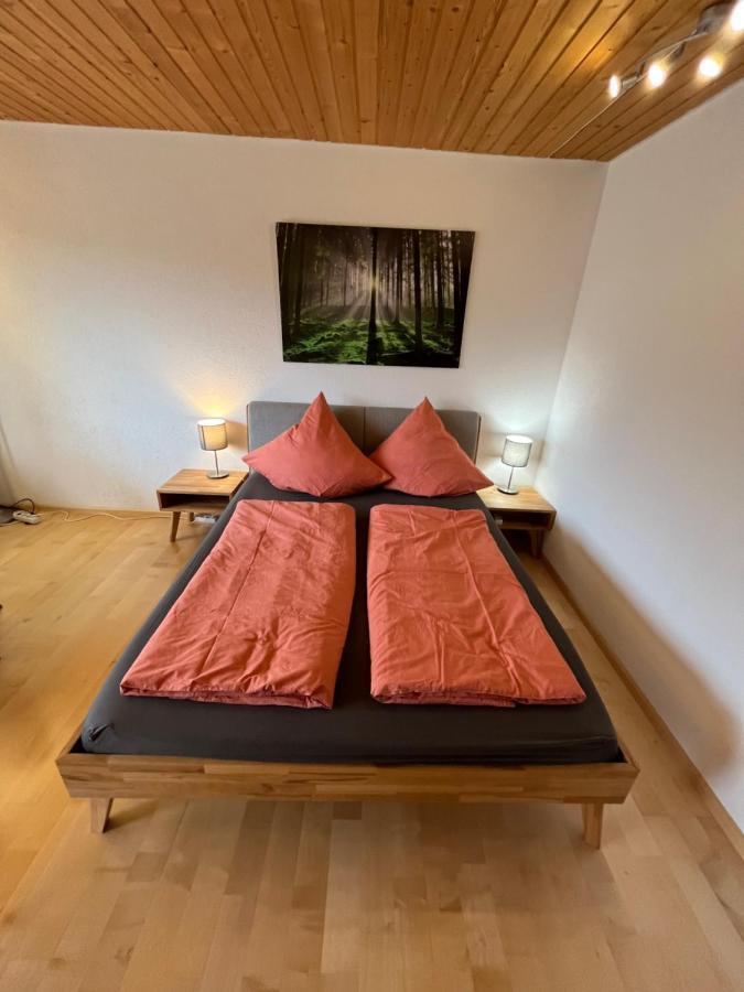 Haus Am Sonnenberg, Todtnauberg, Ferienwohnung 204, Direkt Am Skilift-Skipiste, Naehe Feldberg Eksteriør bilde